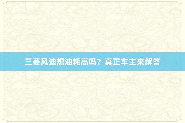 三菱风迪想油耗高吗？真正车主来解答